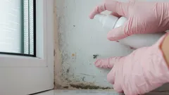 Unaveni plísní a mastnotou? Nejefektivnější domácí prostředek na čištění obkladů a odstranění plísně