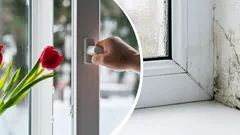 Kdy větrat dům, aby se zabránilo plísním a kondenzaci: odborníci dali jasnou odpověď