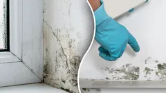 Plíseň zmizí jednou provždy: Jedno přírodní řešení dělá zázraky bez chemie