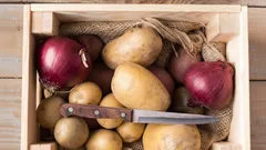 Odstraňte tyto faktory – a brambory vám do jara nezhnijí: rady agronomů pro skladování