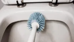 Kdy vyměnit WC štětku? Odborníci radí pro hygienickou koupelnu