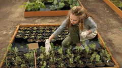 Tajemství zimního setí: Co zasadit v listopadu pro úžasnou jarní sklizeň