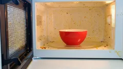 Mikrovlnka bude zářit za 10 minut: Domácí trik, který odstraní mastnotu bez stopy