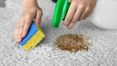Polili jste si kávu na koberec? Jednoduchý trik pomůže odstranit skvrnu bez drahých čisticích prostředků