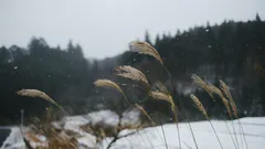 Extrémní změna počasí: z 20 stupňů na nulu během jediného víkendu. Počasí 25.–26. října