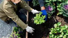 Tajemství zimní odolnosti zahrady: Jak na jaře neztratit bohatou úrodu