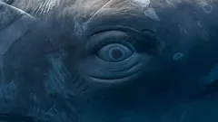 Oceán promluvil hlasem rozumu: Vědci odhalili jazyk tvorů, jejichž řeč znepokojivě připomíná tu naši