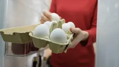 Tajemství, jak udržet vejce čerstvá: Správné skladování krok za krokem