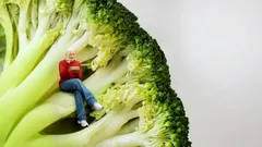 Čím se vegani liší od vegetariánů – hlavní rozdíly a zajímavosti