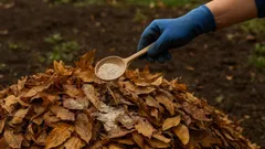 Tři lžíce — a listy proměníte ve zlato: hnojivo za pár korun, které nahradí hnůj