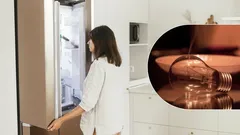 Výkyvy napětí už vás neohrozí: Jak ochránit lednici při výpadcích elektřiny?