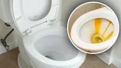Žlutý povlak na toaletě zmizí bez stopy: Hoďte do záchodu tabletu, kterou má každý doma