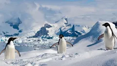 Antarktida zamrzla navždy: Odkud se bere sníh na místě, kde nikdy neprší?