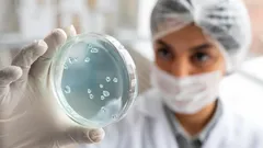 Podvod století: Tato bakterie se tváří jako mrtvá, aby přežila nepříznivé podmínky