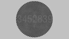 Podivná optická iluze vyvolala diskuzi: Jaká čísla jsou na obrázku a kolik jich je?