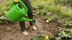 Zahrada usíná, škůdci ne: Toto pozdní podzimní ošetření jim zavře cestu