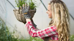 Jeden podzimní den a zahrada je chráněná: ošetření, které zabrání škůdcům probudit se na jaře