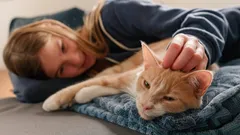 Máte rádi kočky? Psychologové zjistili: Máte 5 vzácných osobnostních rysů