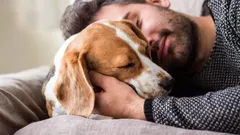 Proč psi spí u hlavy svých majitelů — kynolog odhalil překvapivé důvody