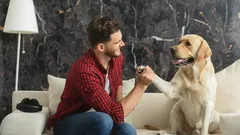 Jak často mluvíte se svými mazlíčky? Odborníci vysvětlují, co to může znamenat