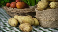 Dejte to na brambory a vydrží vám až do jara: jednoduchý a účinný způsob skladování