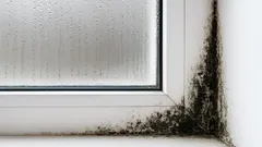 Podzimní vlhko: Zvláštní místa, kde se schovává plíseň – nedávejte jí šanci