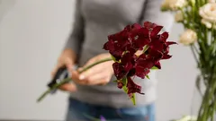 Květiny ve váze vydrží dvakrát déle: Floristické tajemství, které vás překvapí výsledkem